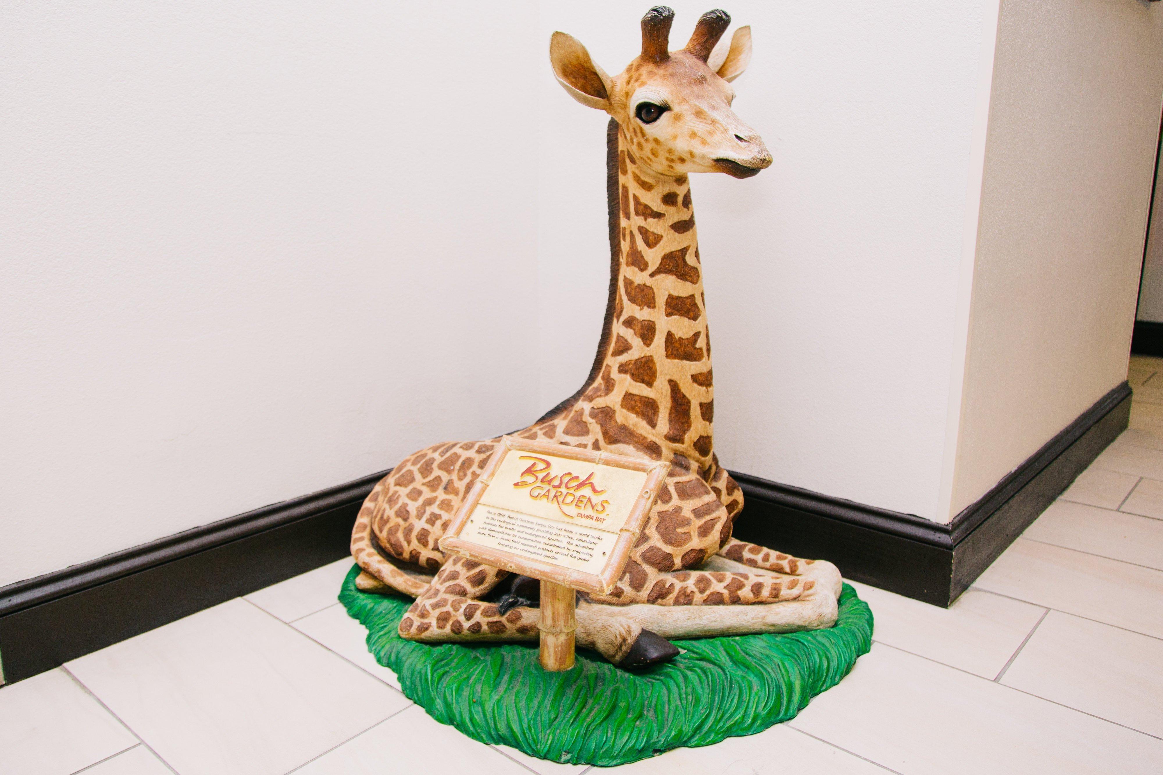 Holiday Inn Express Hotel & Suites Tampa-Usf-Busch Gardens By Ihg Kültér fotó