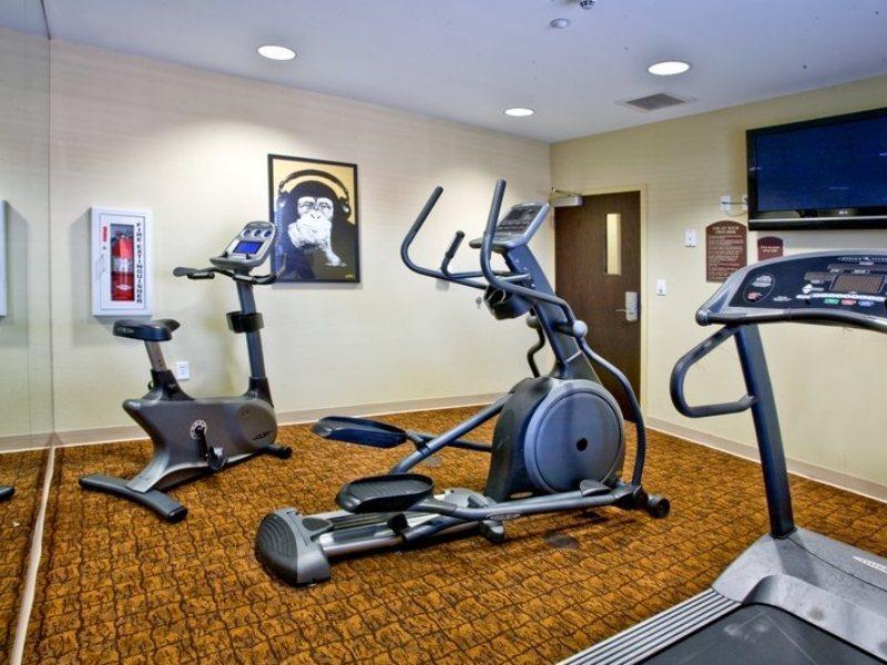 Holiday Inn Express Hotel & Suites Tampa-Usf-Busch Gardens By Ihg Kültér fotó