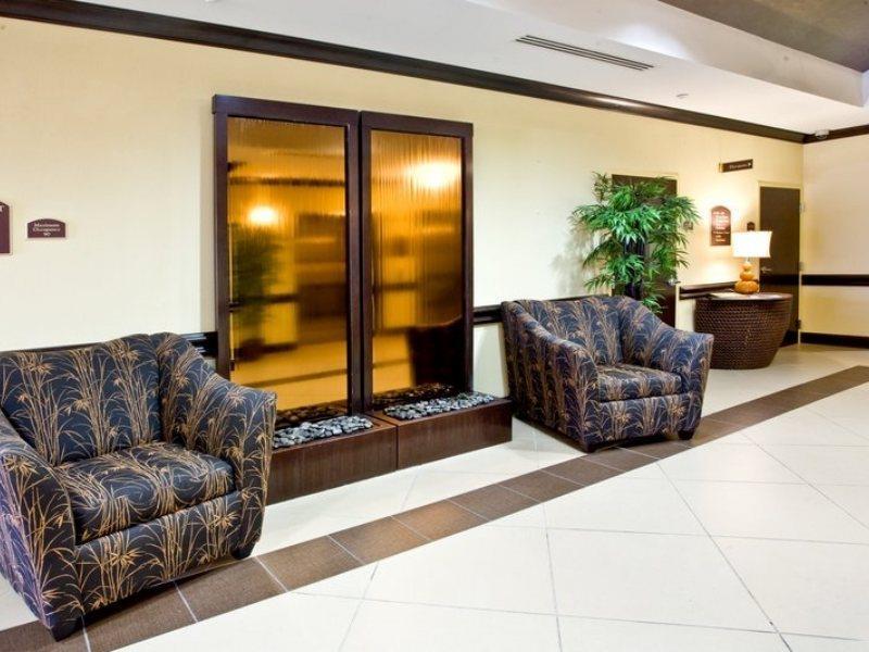 Holiday Inn Express Hotel & Suites Tampa-Usf-Busch Gardens By Ihg Kültér fotó