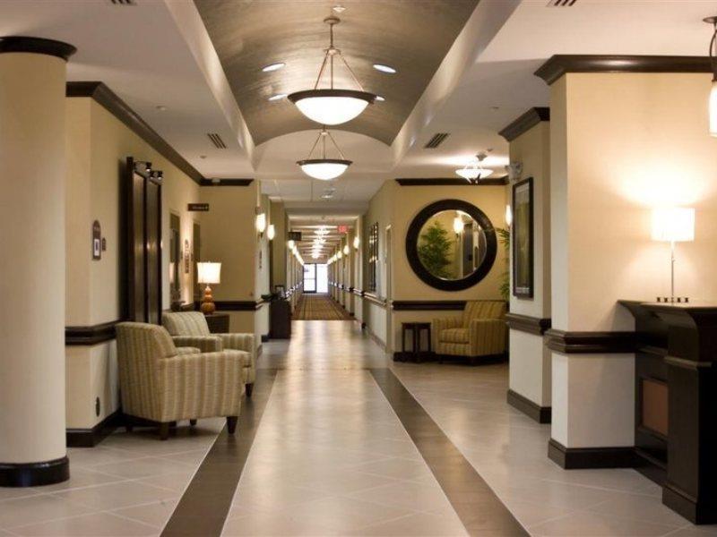 Holiday Inn Express Hotel & Suites Tampa-Usf-Busch Gardens By Ihg Kültér fotó