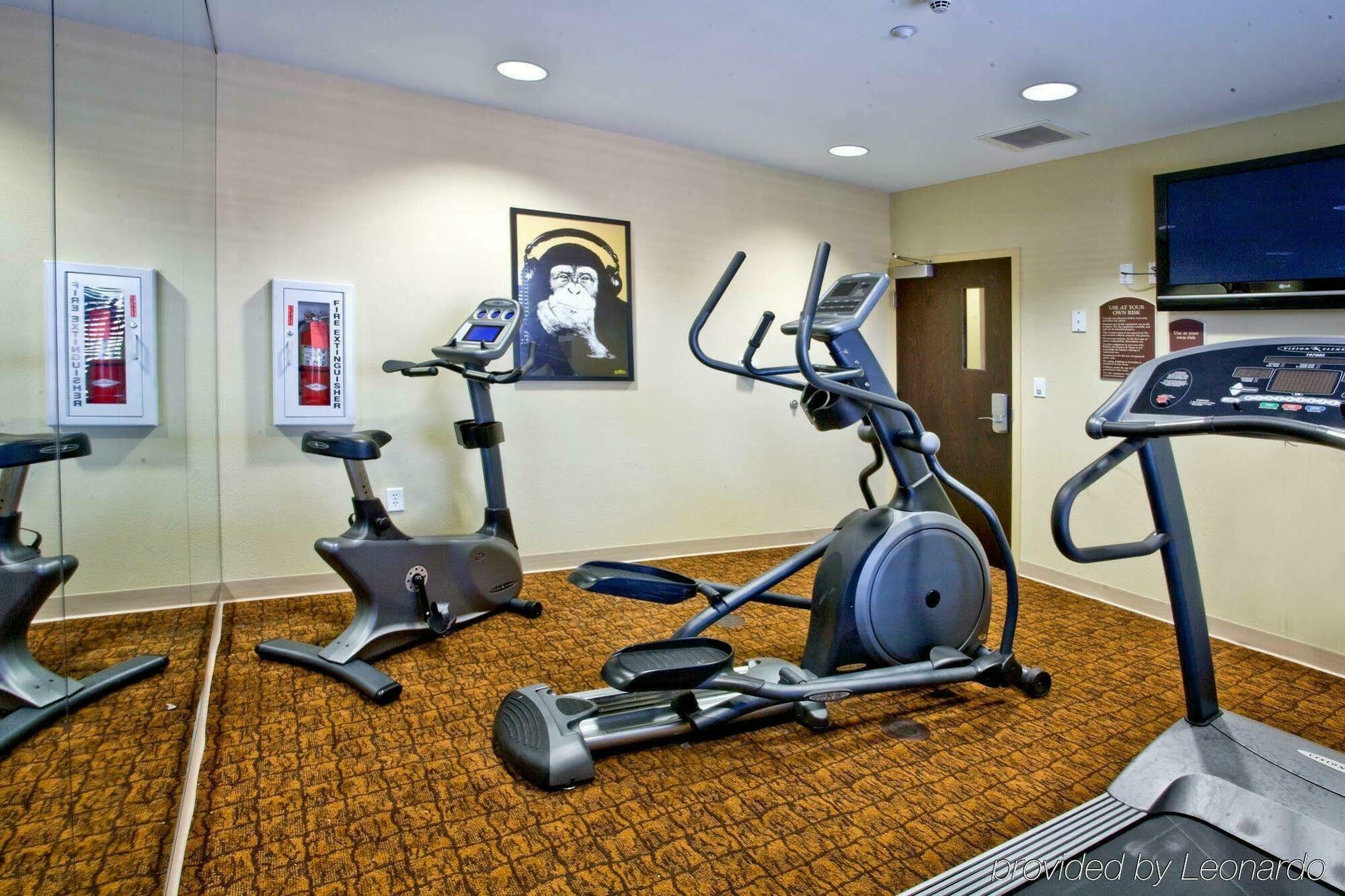 Holiday Inn Express Hotel & Suites Tampa-Usf-Busch Gardens By Ihg Kültér fotó